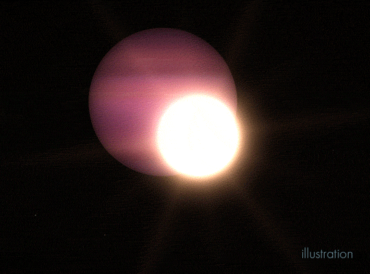 This GIF starts with a size comparison between a possible giant planet and the white dwarf that it orbits. The planet is shown as a striped, pink orb and it is nearly seven times larger than the bright white dwarf star. The animation then pulls out to show the relative size of the orbit of the white dwarf and its planet.